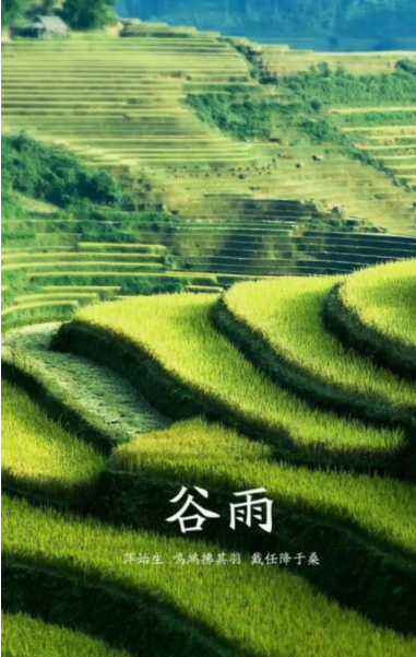 081700848.png image.png
