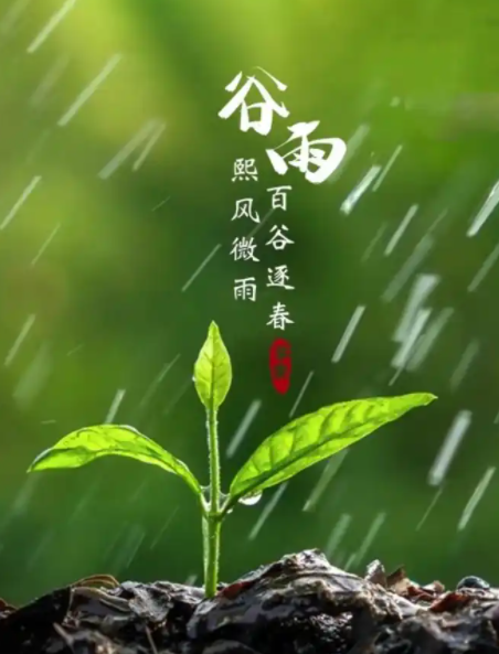 081700148.png image.png