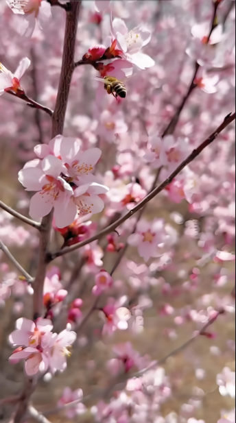 041300950.png image.png
