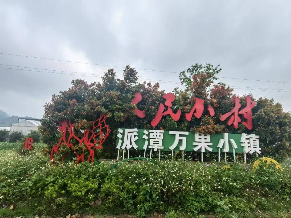 微信图片_20250423162509
