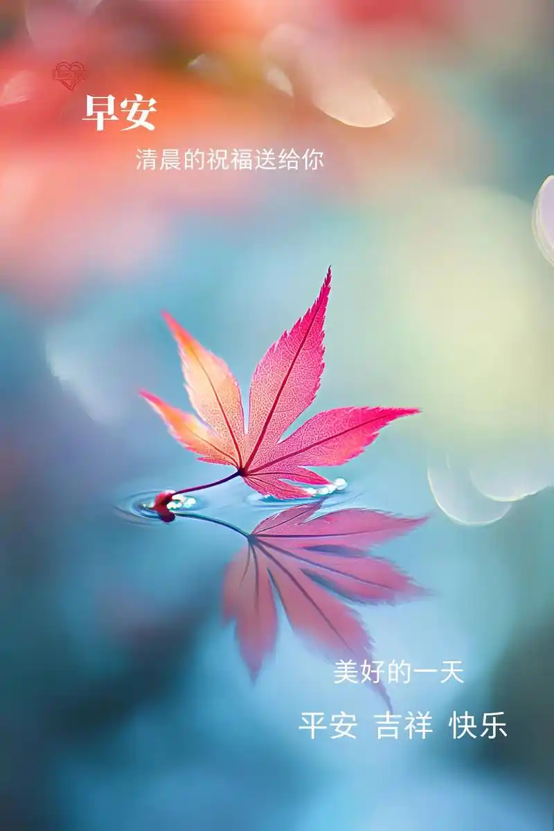 u=3186363312,469562197&fm=253&fmt=auto&app=120&f=JPEG.webp