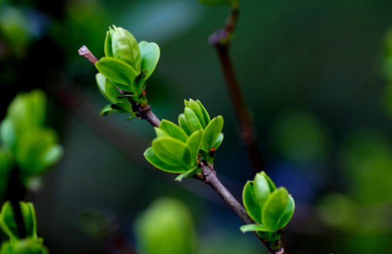 044206230.png image.png