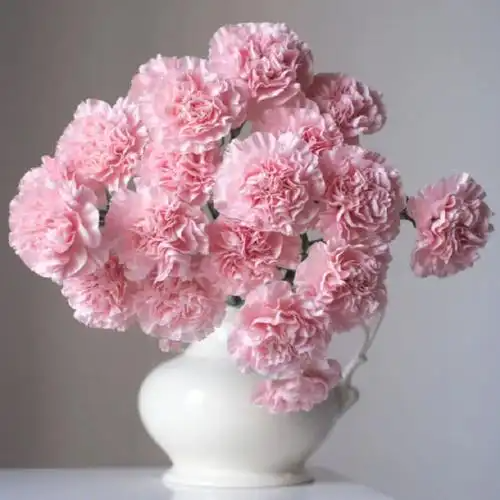 041005301.png image.png