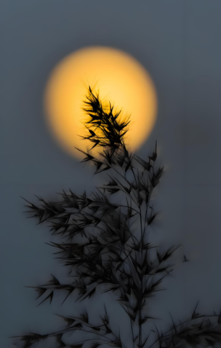 062301818.png image.png