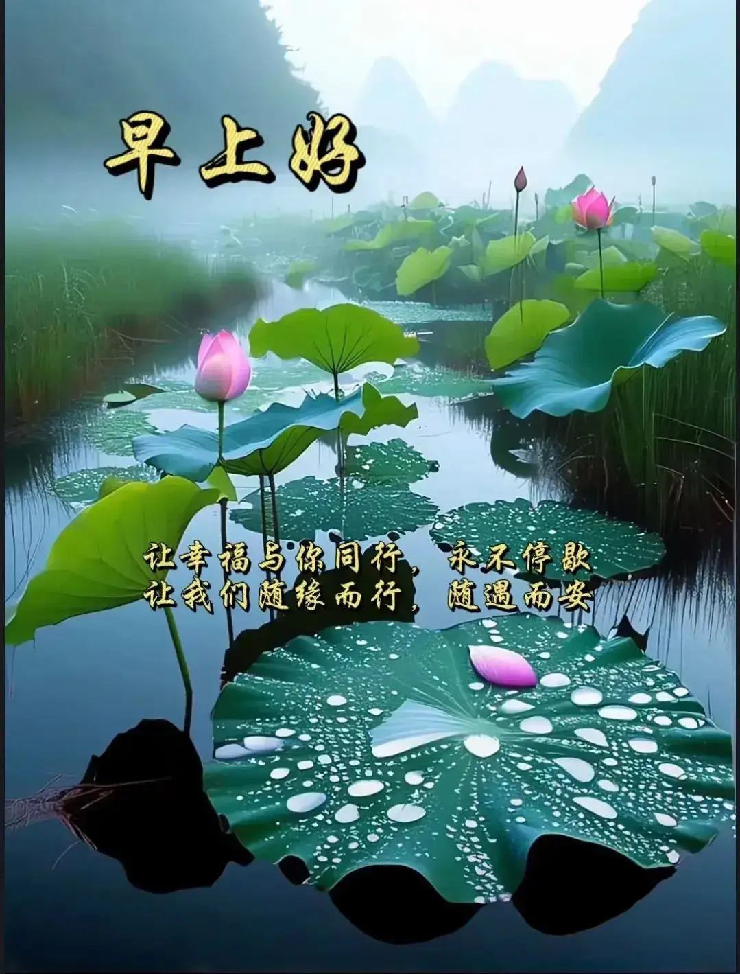8c2df81c12d34ce780b0baf41e31ffd9.webp