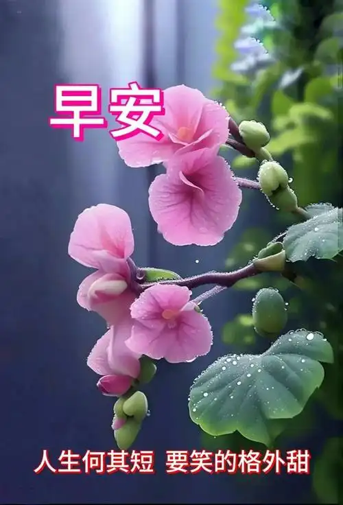 u=1703286683,176403847&fm=253&fmt=auto&app=138&f=JPEG.webp