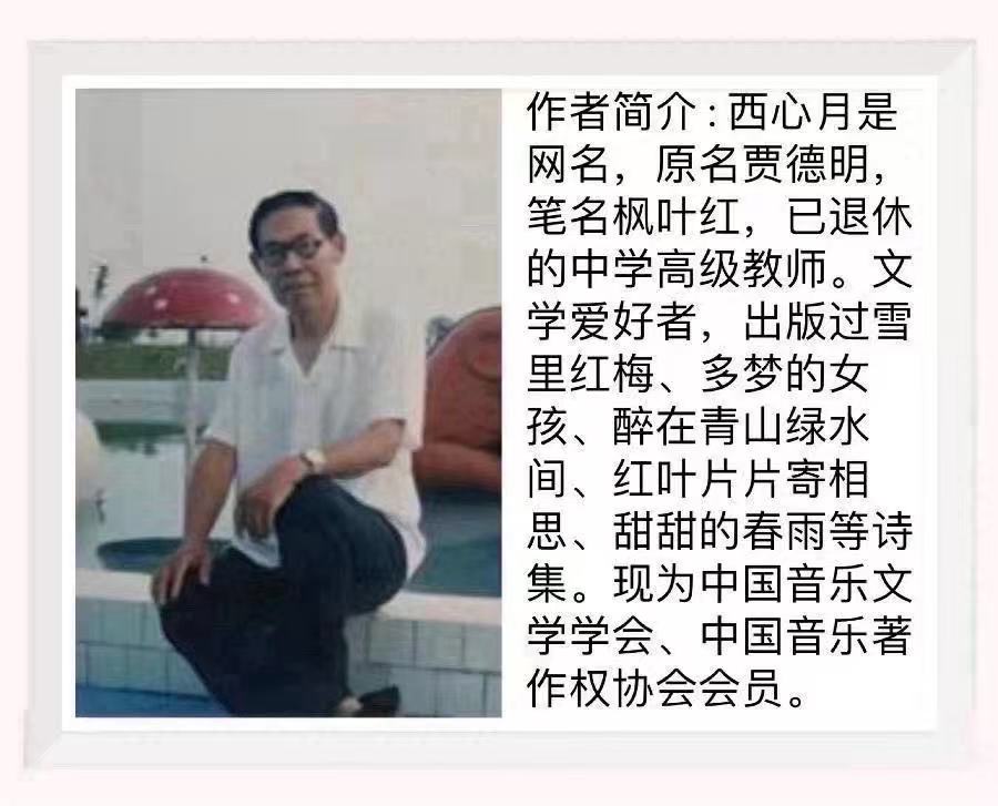 4868cde43b3a3b198feb3a19bd01876.jpg