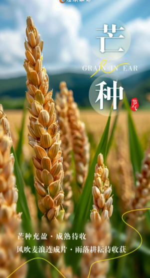 220108333.png image.png
