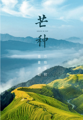 043005959.png image.png