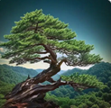 6129fe9d998d0524a68c9a522de1ed9.png