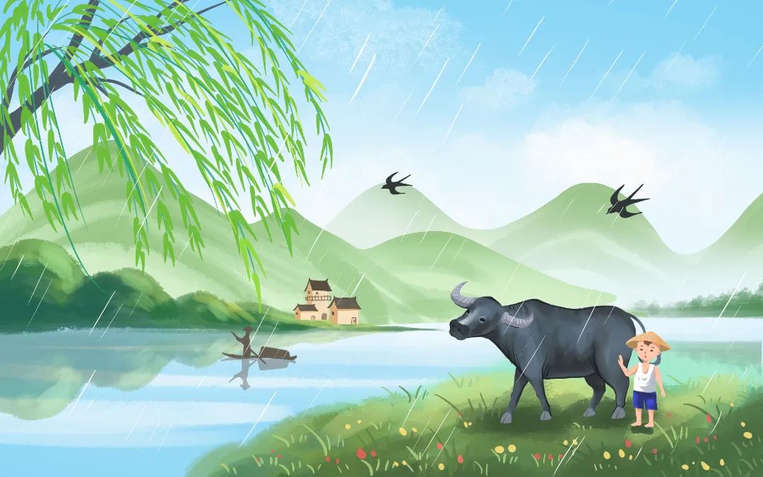 51miz-E1160924-0D5B7FDC.jpg 图片