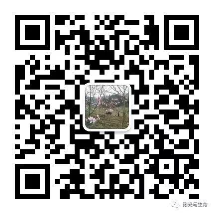 1489721657925016.jpg 图片