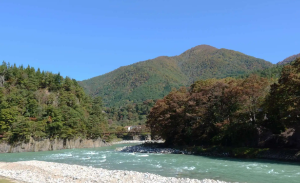041707383.png image.png