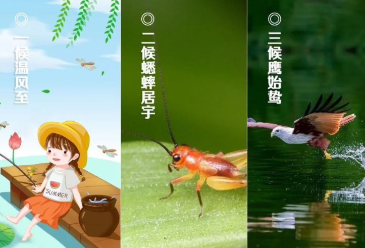 053908241.png image.png