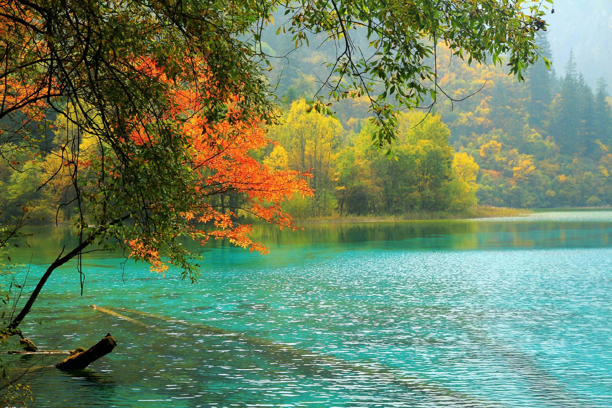 碧云天，黄叶地。秋色连波，波上寒烟翠。|云天|寒烟|黄叶_新浪新闻