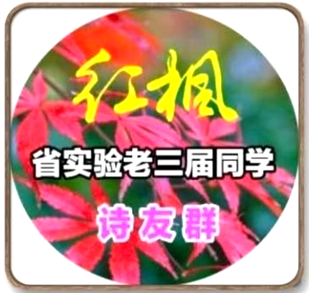 010802423.png image.png