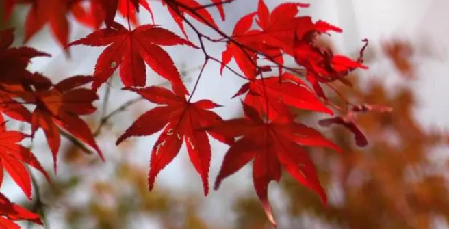 224502844.png image.png