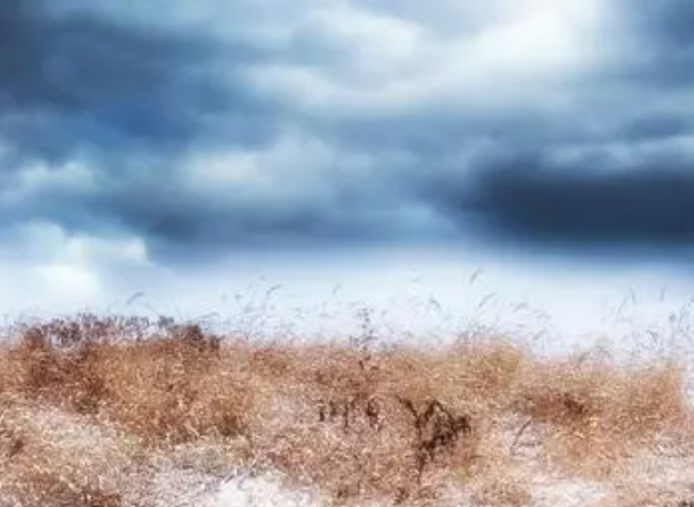 051100247.png image.png