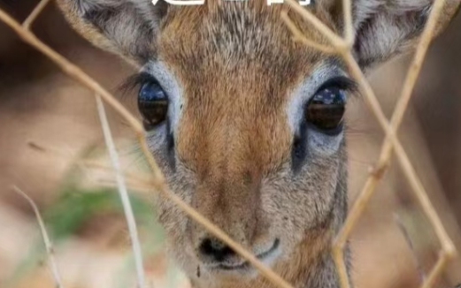 052502390.png image.png