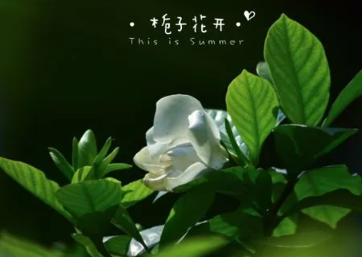 195105849.png image.png