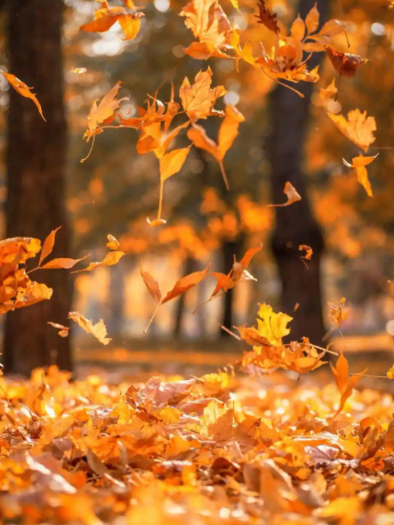 212204227.png image.png