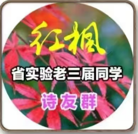 223100332.png image.png