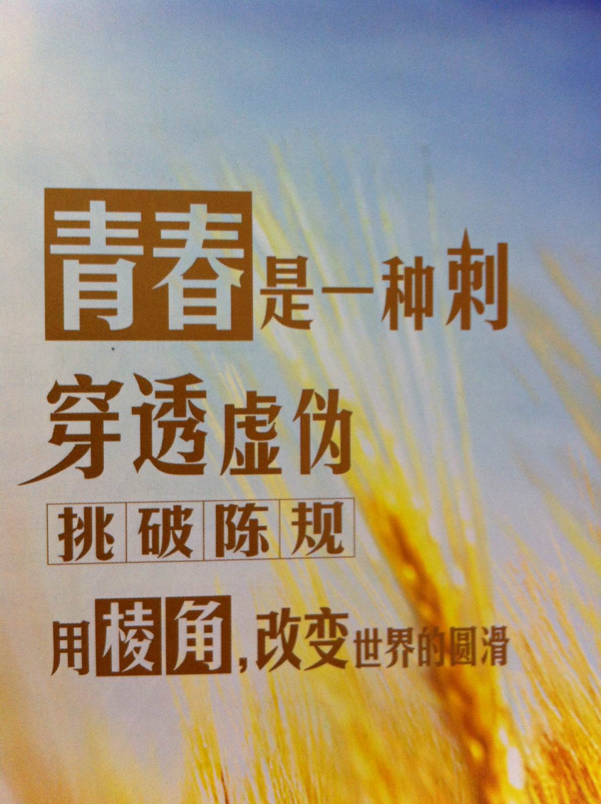 909f4a2fa23f52638a6a1c067525ad1.png