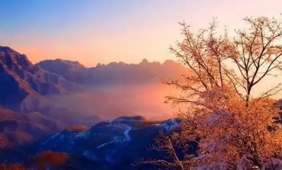 080004143.png image.png