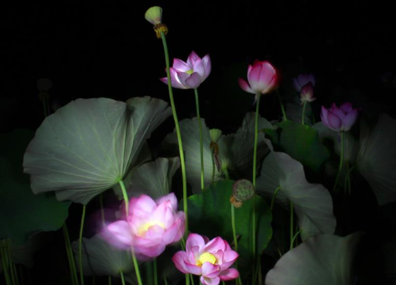 023600195.png image.png