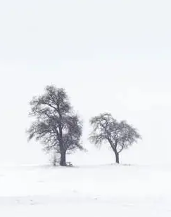 061101340.png image.png