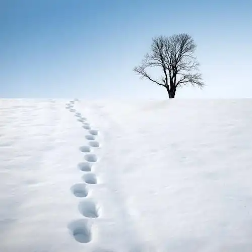 200105511.png image.png