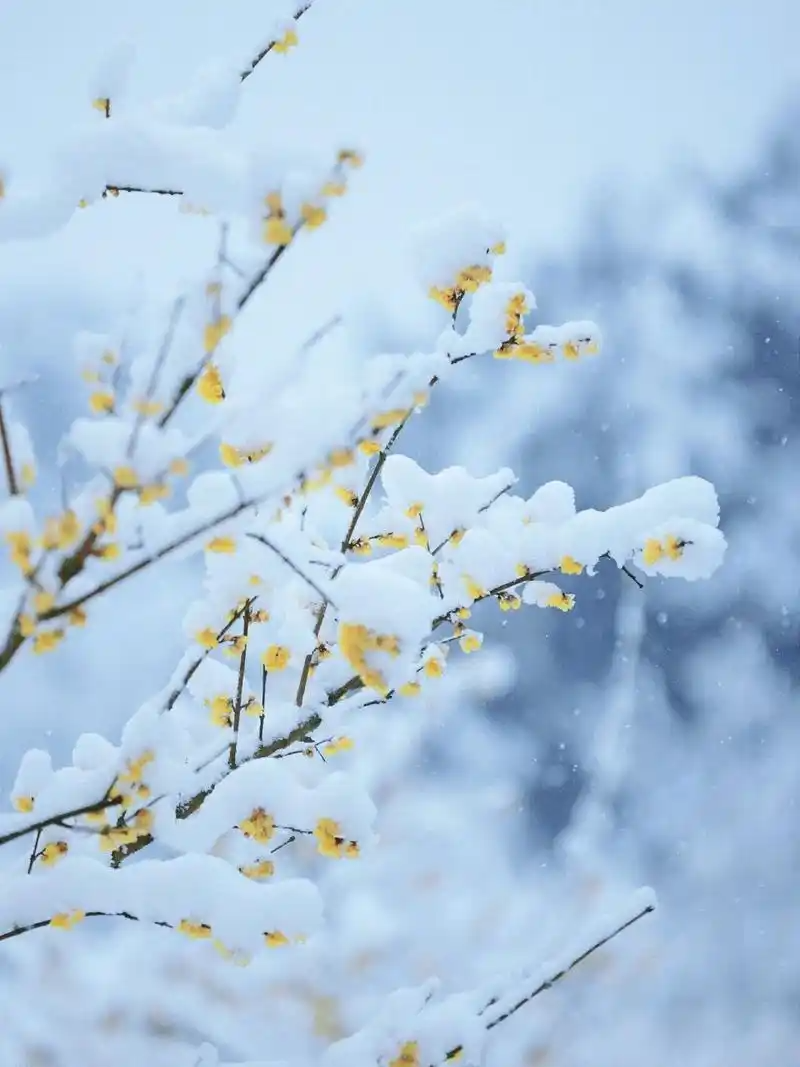 154507726.png image.png