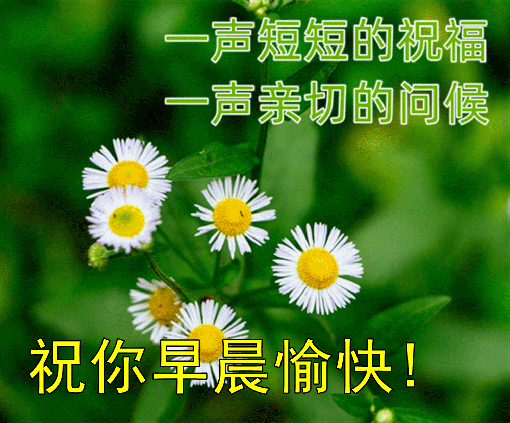 1344b1078e4d69ba418c885994118d6c.gif
