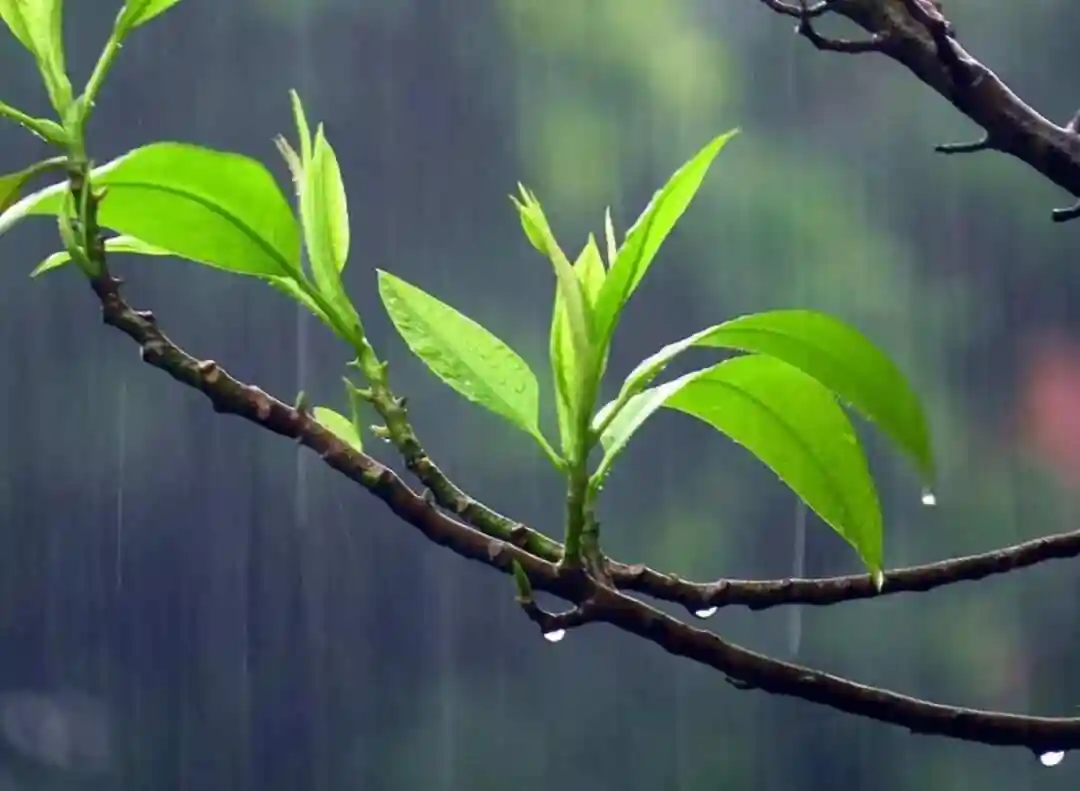 162005078.png image.png