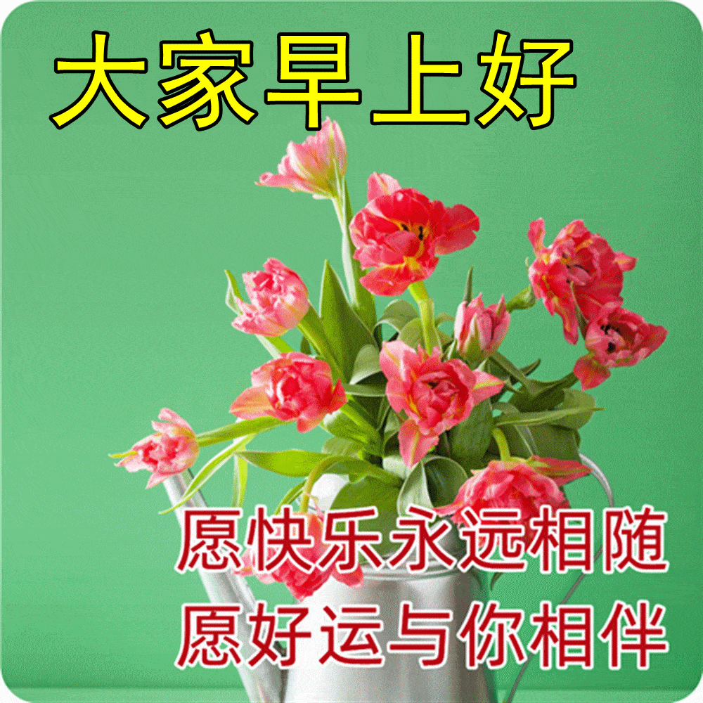 a18051b55d8041b1928bae22b6a13455.webp