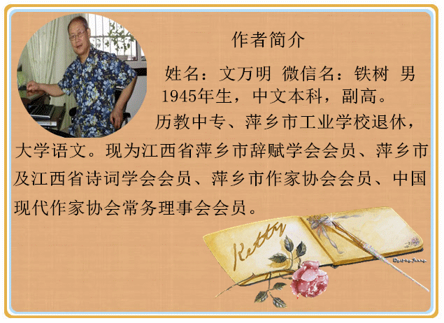 作者简介