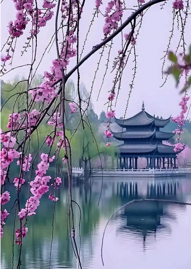 220507944.png image.png