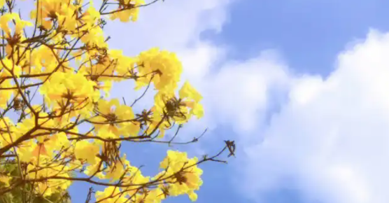 073201612.png image.png