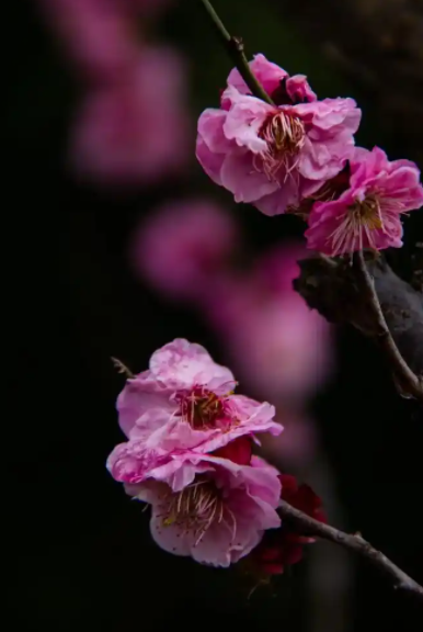 064400101.png image.png
