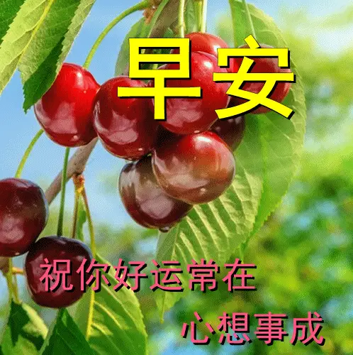 120507817.webp c82207477da0456bb6109d5579501e17.webp