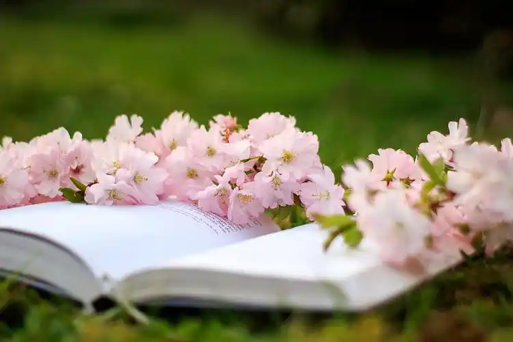 u=1710010889,3379110979&fm=253&fmt=auto&app=138&f=JPEG.webp