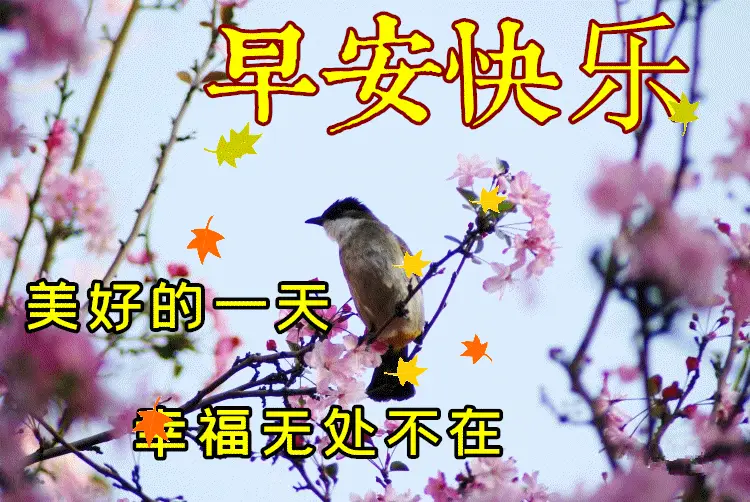 380f1638a2e742aaa72d554dcef22e4d.webp