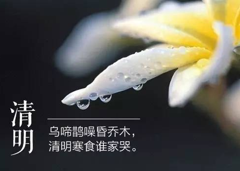 204706420.png image.png