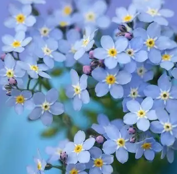 202409475.png image.png