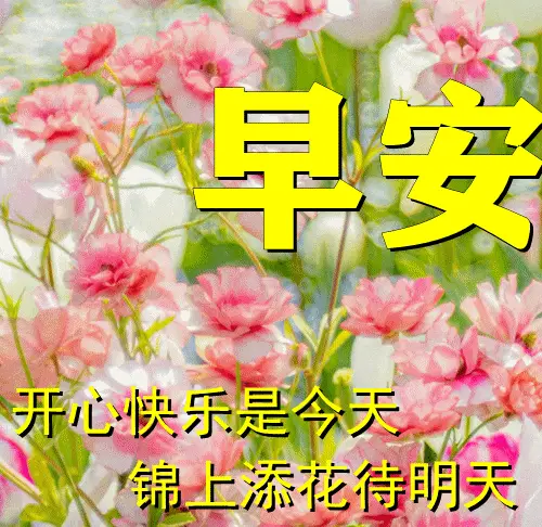 808c777cc883494d9d84785e4658c12e.webp