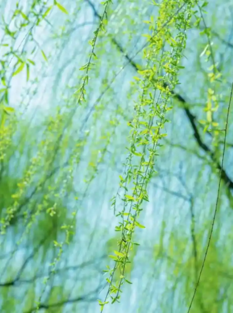 055702120.png image.png