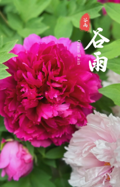 080605711.png image.png