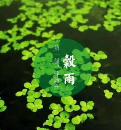 080500767.png image.png