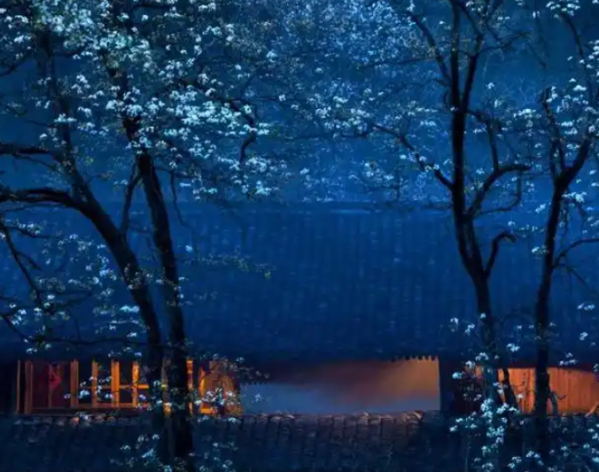 044007971.png image.png