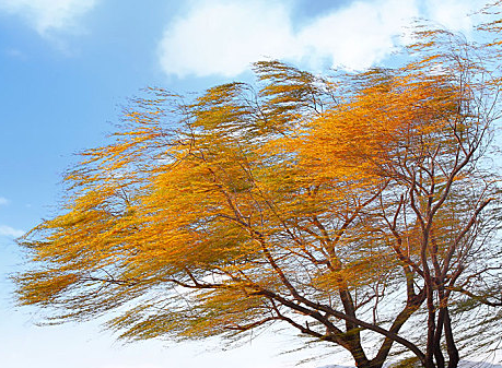 055106967.png image.png